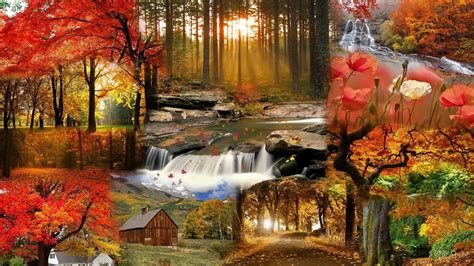 Screensavers Wallpaper for Fall (46+ images)