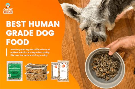 Best Human-Grade Dog Food Brands: Top 10 List [Reviews & Picks ...