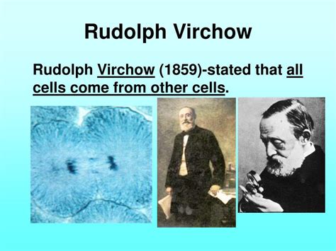 Virchow And Cell Theory