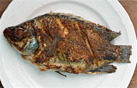 fried tilapia fish - Graduate Farmer Limited