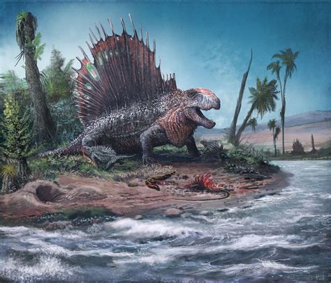 Dimetrodon. By Mark Witton. in 2021 | Prehistoric animals, Prehistoric world, Extinct animals