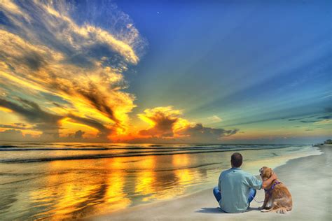 Pet Friendly Beaches in Florida | Daytona Beach Dog Beaches