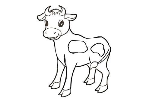 14 Printable Cow Coloring Pages: PDF - Print Color Craft