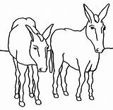 Coloring Ane Disegni Colorat Donkey Asno Mange Esel Animale Asino Magar  sketch template