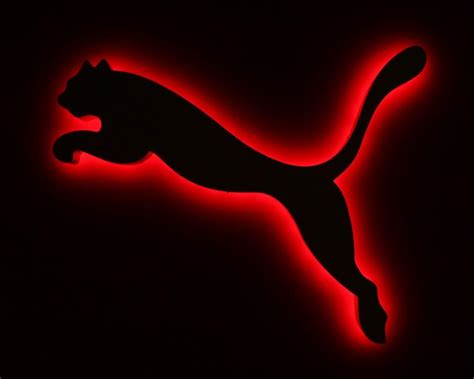 Puma Wallpapers - Wallpaper Cave