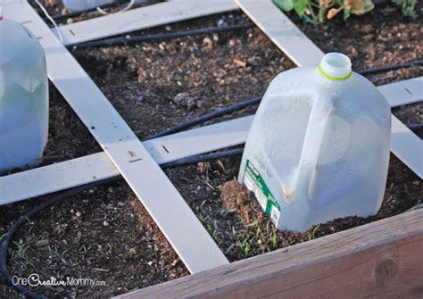 One simple tool to protect plants from frost - onecreativemommy.com