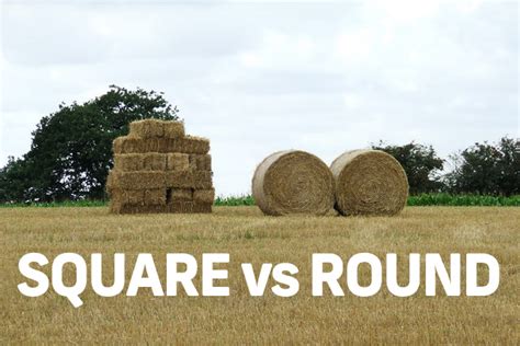 Round bales vs. Large square bales: what shape is the best for your ...