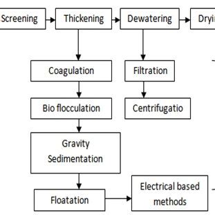 Steps of microalgae harvesting and drying techniques [12]. | Download Scientific Diagram