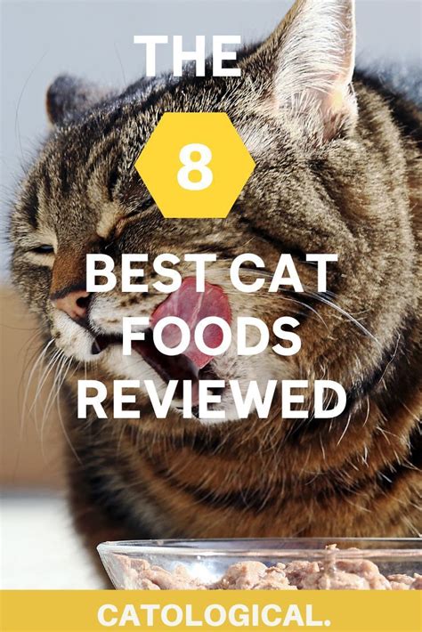 The 8 Best Cat Food Reviews (From Our Insanely Huge Food Database) | Cat food reviews, Best cat ...