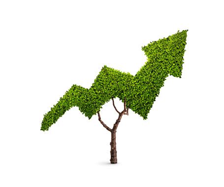 Tree In The Shape Of An Arrow Stock Photo - Download Image Now - iStock