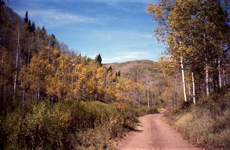 The Mystery Of Utah History: Old Ephraim: Utah’s most legendary bear