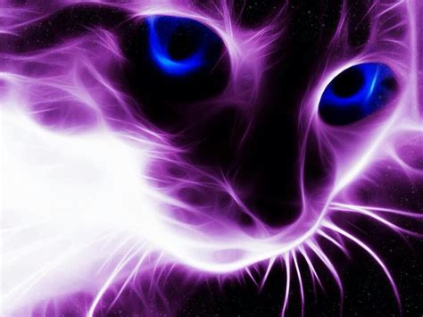 Pin by Robin on Beautiful cats of all kinds | Purple cat, Neon cat, Cat art