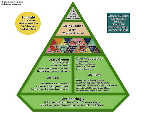 Redesigned Iguana feeding pyramid : r/iguanas