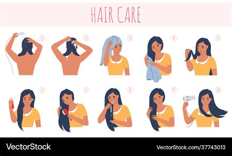 10 step hair care routine Royalty Free Vector Image