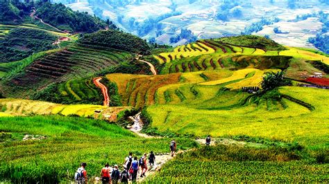 Ruộng bậc thang ở Sapa - Vẻ đẹp kỳ vĩ nơi núi rừng