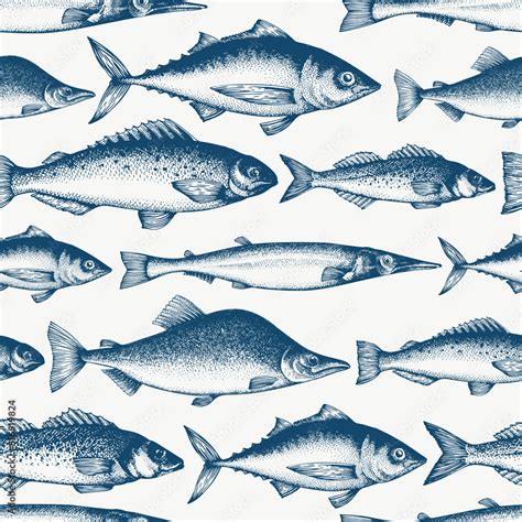 Fish seamless pattern. Hand drawn vector fishes illustration. Engraved ...