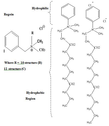 The molecular structure of the synthesized quaternary ammonium salts ...