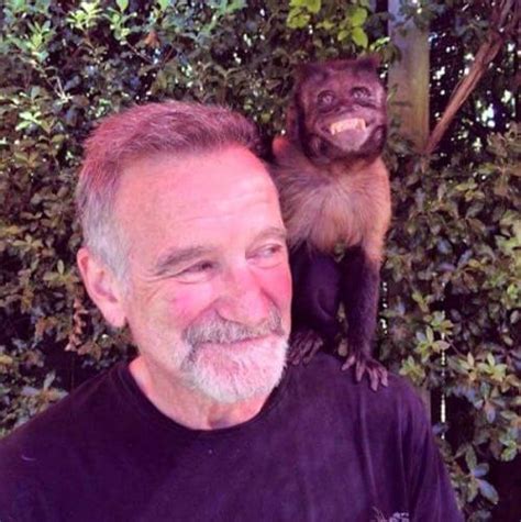 robin williams on Tumblr