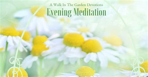 A Walk In The Garden: Evening Meditation