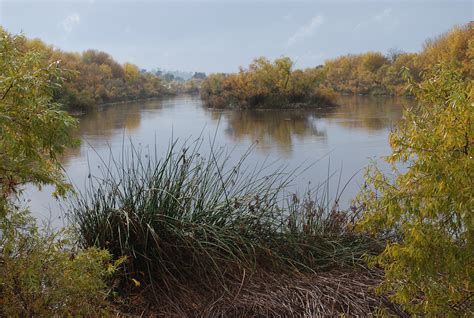 Treehuggers International » San Diego River Park Foundation