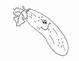 Cucumber Slice Drawing Coloring Getdrawings Sketch Page sketch template