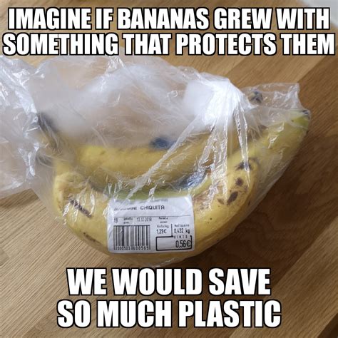 Earth Day Meme Contest — Beyond Plastics - Working To End Single-Use Plastic Pollution