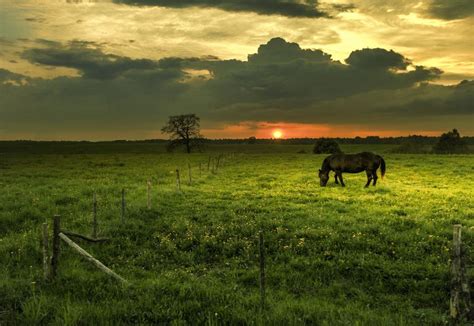 from FB page "We Love Lithuania", photo by Dievidas Narutavicius ...