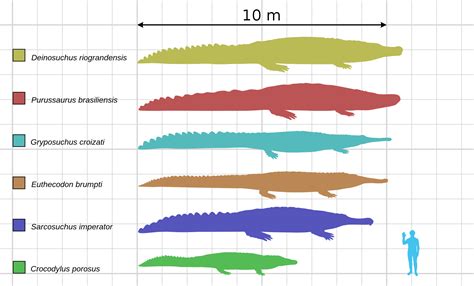 Adding Deinosuchus and tweaking Sarcosuchus in turn - Path of Titans