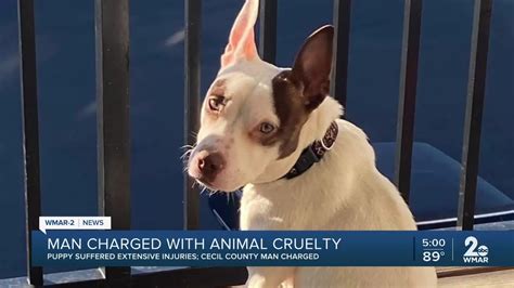 Cecil County man charged with aggravated animal cruelty