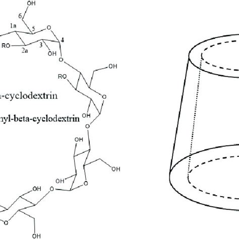 Schematic representation of the beta-cyclodextrin and... | Download ...