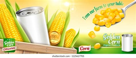 37,090 Sweet Corn Vector Images, Stock Photos & Vectors | Shutterstock