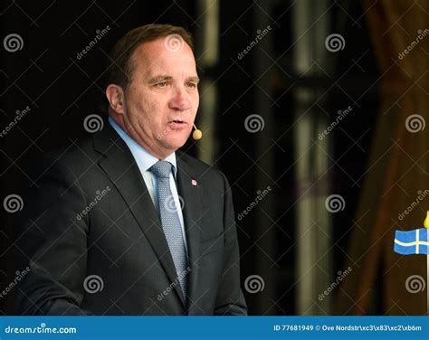 Swedish Prime Minister Stefan Lofven Speaking at the Swedish National Day, Hagelbyparken ...