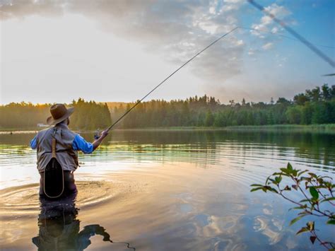 How to Fish for Snook: The Complete Guide (Updated 2023)