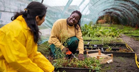 8 Must-Have Gardening Tools to Raise Your Green Game