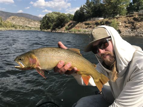 Willis Engelhart - Mountain Angler