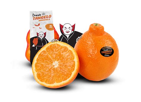 Tangelo Minneola – Dracula Citrus USA