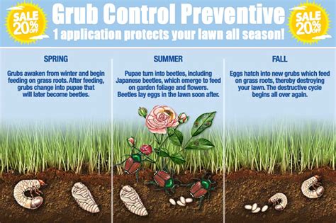 Grub Worm Removal - Grub Worm Control Dallas - ABRACADABRA