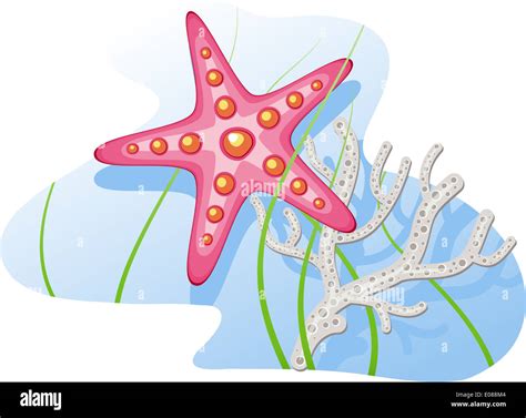 Underwater: starfish, coral, algae. Vector illustration Stock Photo - Alamy