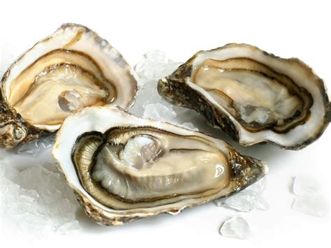 How To Pick Fresh Oysters