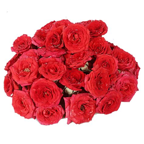 Buy Hoovu Fresh Assorted Roses Puja Flowers Online at Best Price of Rs ...