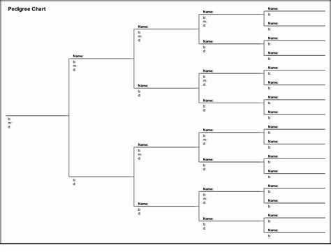 Free Pedigree Chart Template Fresh Free Pedigree Chart 5 Generation Sweeny Family History in ...