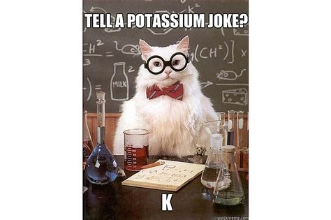 Best of Chemistry Cat, the Science Meme