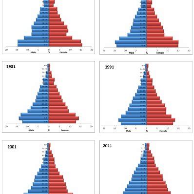 Population Pyramid, India 1961 - 2011 | Download Scientific Diagram