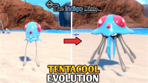 Tentacool Evolution Animation In Pokemon Scarlet & Violet : The Indigo Disk DLC - YouTube