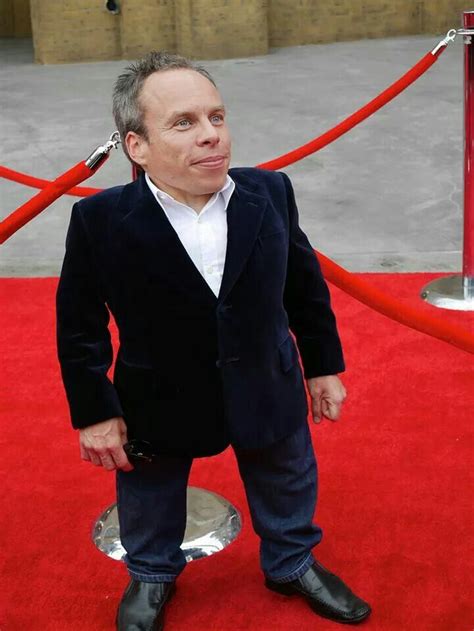 Warwick Davis | Harry potter actors, Harry potter characters, Harry ...