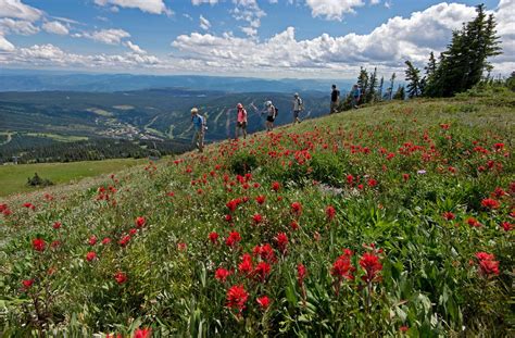 Tips and Rules for Safe Hiking | Sun Peaks Resort