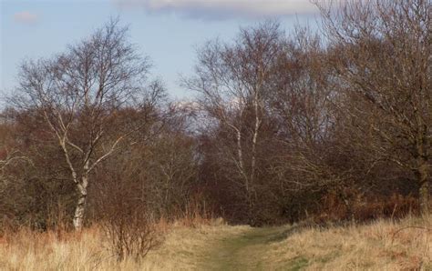 Photographs, route description and map of a walk from the village of Mid Calder through ...