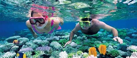 Top 10 Best Tourist Activities to do at Diani Beach | Diani Beach