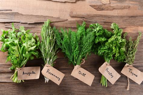 20 tips for growing a thriving herb garden