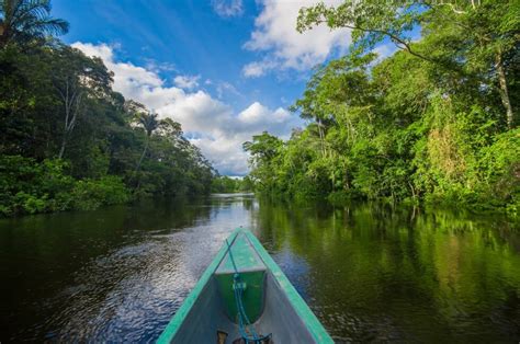 2 unique ways to travel to Ecuador's rainforest | Off the beaten path